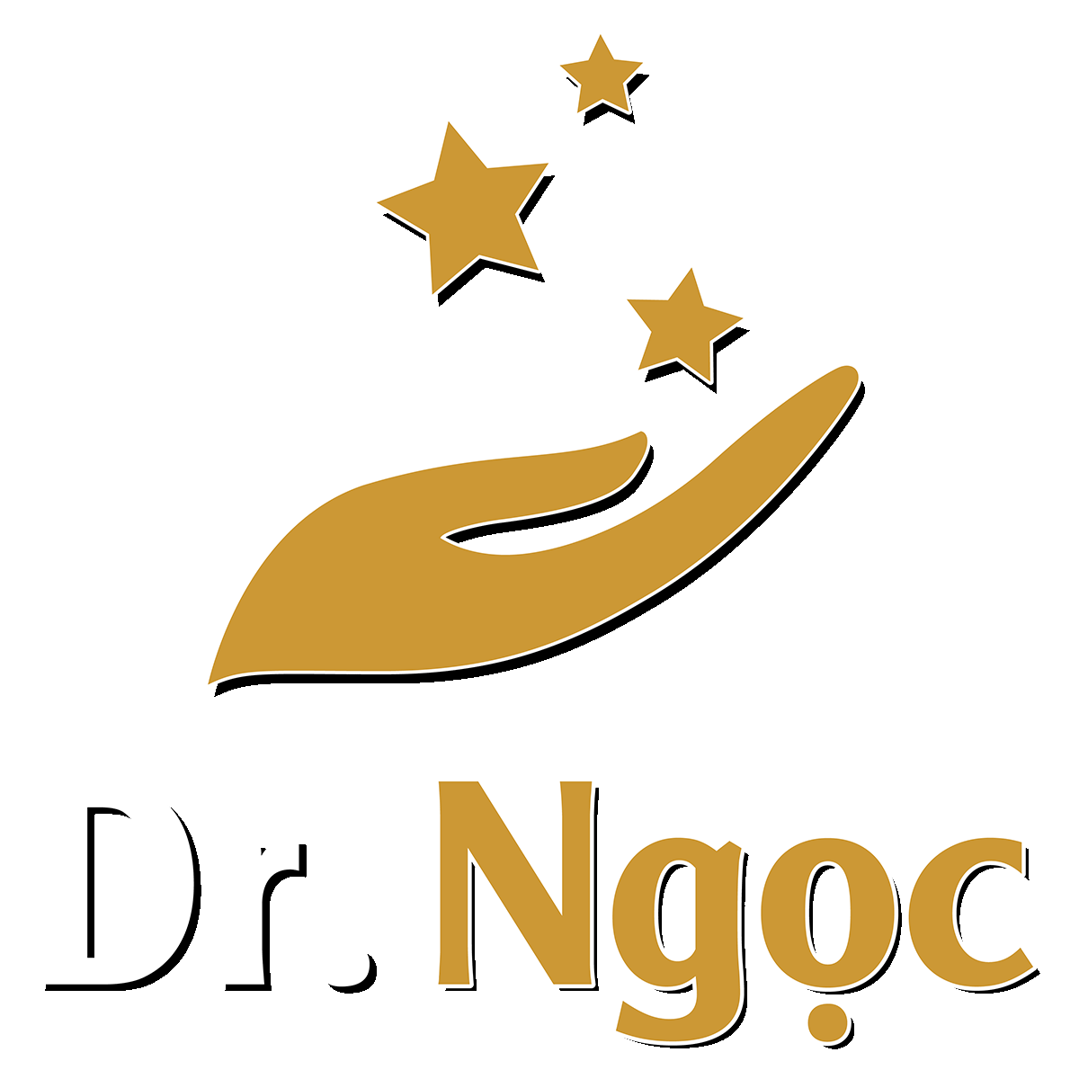Dr Ngọc Khảo Sát Logo