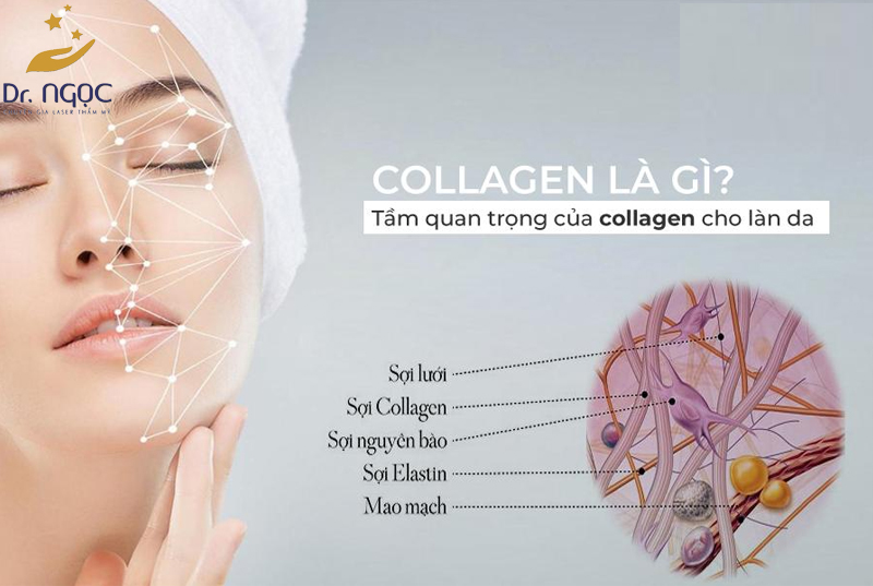 Tìm hiểu về Collagen là gì?