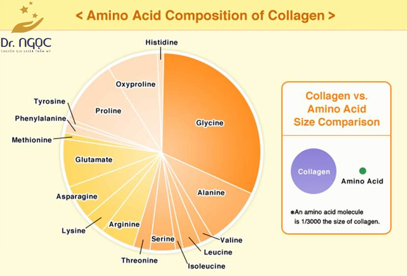 Collagen giúp cung cấp axit amin cho tóc