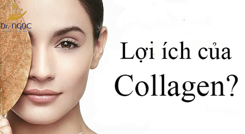 Lợi ích của Collagen