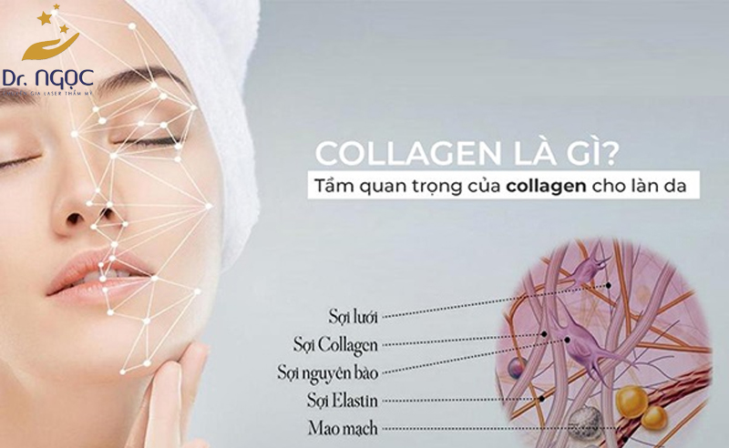 Tầm quan trọng của Collagen