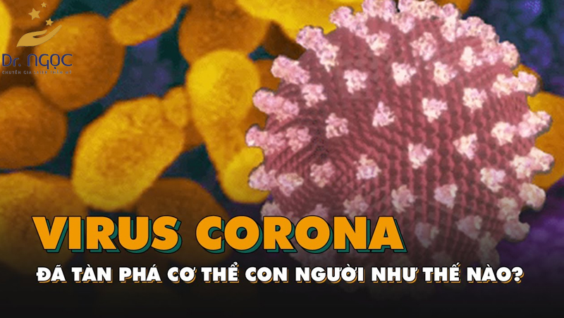 Bệnh Virus Corona tàn phá cơ thể con người như thế nào?