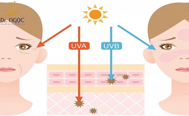 Tia UV nào ảnh hưởng đến làn da