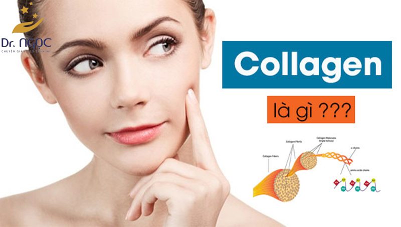 Tìm hiểu về Collagen như thế nào?