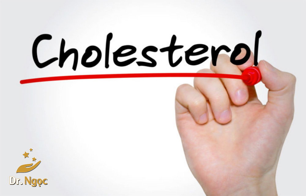 hiểu rõ về nồng độ cholesterol