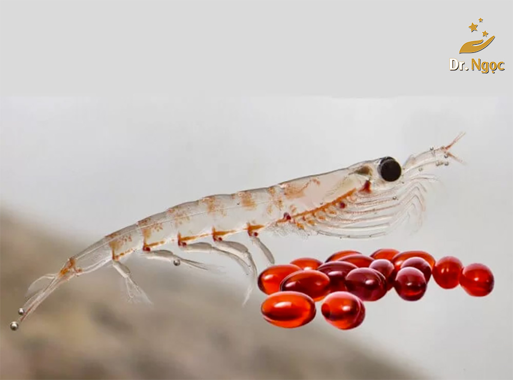 tác dụng dầu nhuyễn thể omega 3 krill là gì