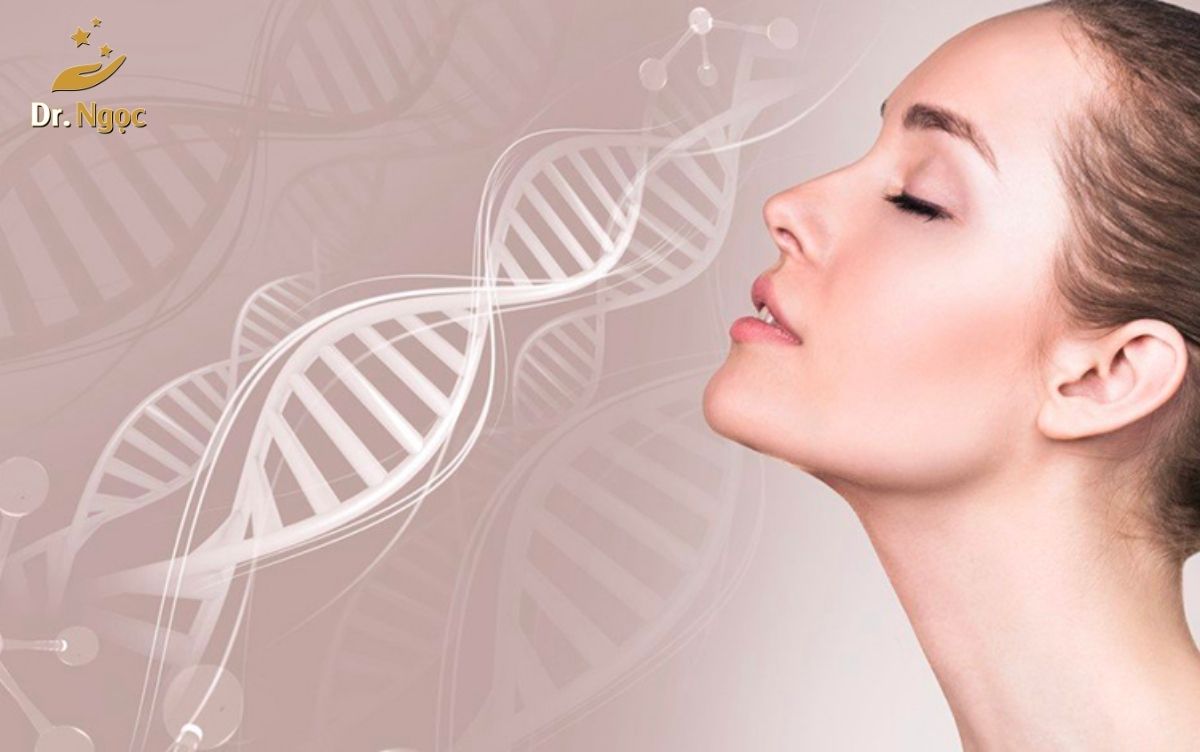 Collagen là gì và tại sao nó quan trọng cho làn da Dr Ngọc 