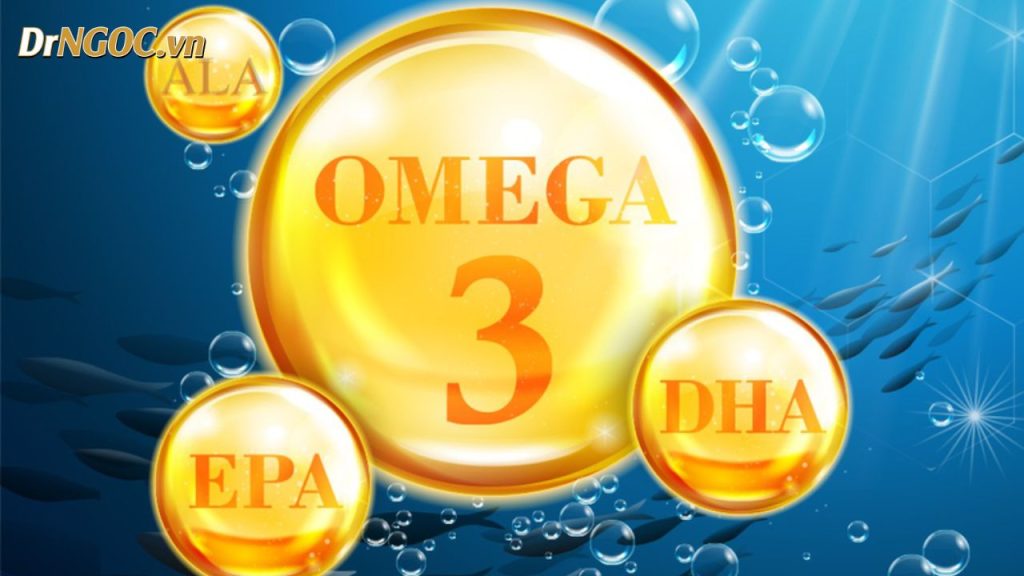 Omega 3 Là Gì và Tại Sao Nó Quan Trọng?